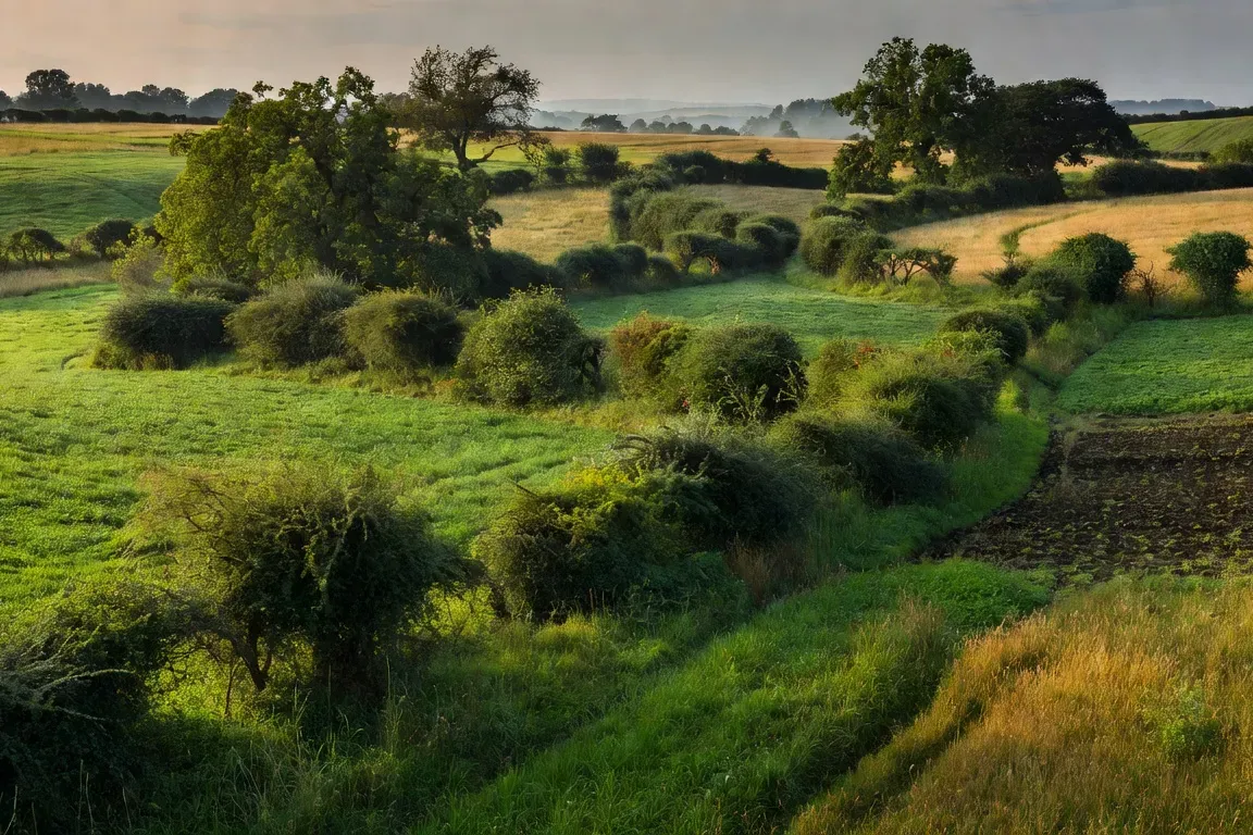 Leviers de reduction des emissions agricoles de GES