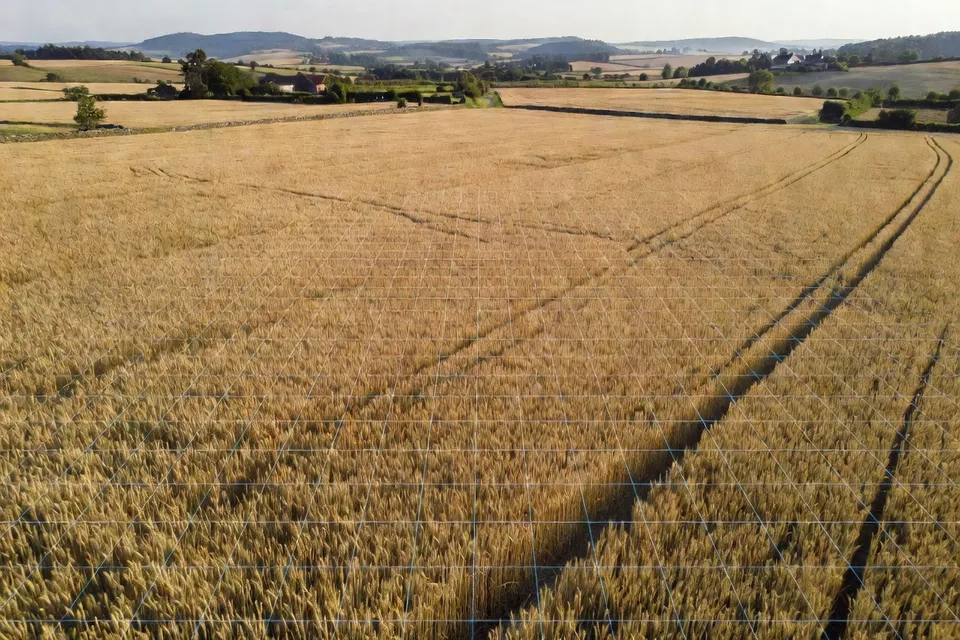 Champ agricole observé par imagerie satellite pour l'évaluation des cultures